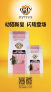 奧丁精品幼貓糧閃耀登場?。。?></div>
                <div>
                    <h2>奧丁精品幼貓糧閃耀登場?。?！</h2>
                    <div><span>2019-06-27

</span><span>查看更多</span></div>
                </div>
            </a><li>
             <a href=